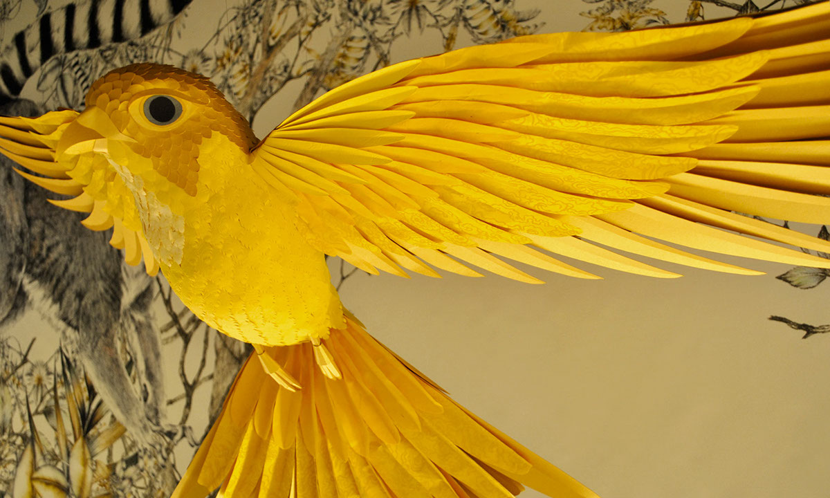 paper  Parrot  falcon  iguana  Printemps Paris Window Display  feather store