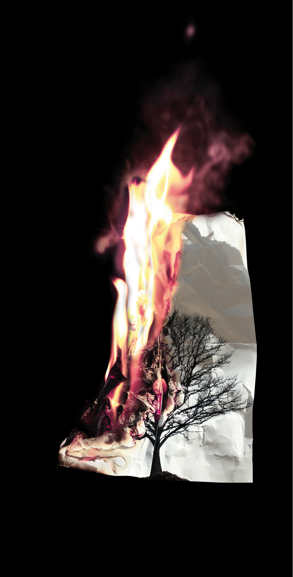burn Tree  Nature paper art time Timelaps foto fire tree on fire black