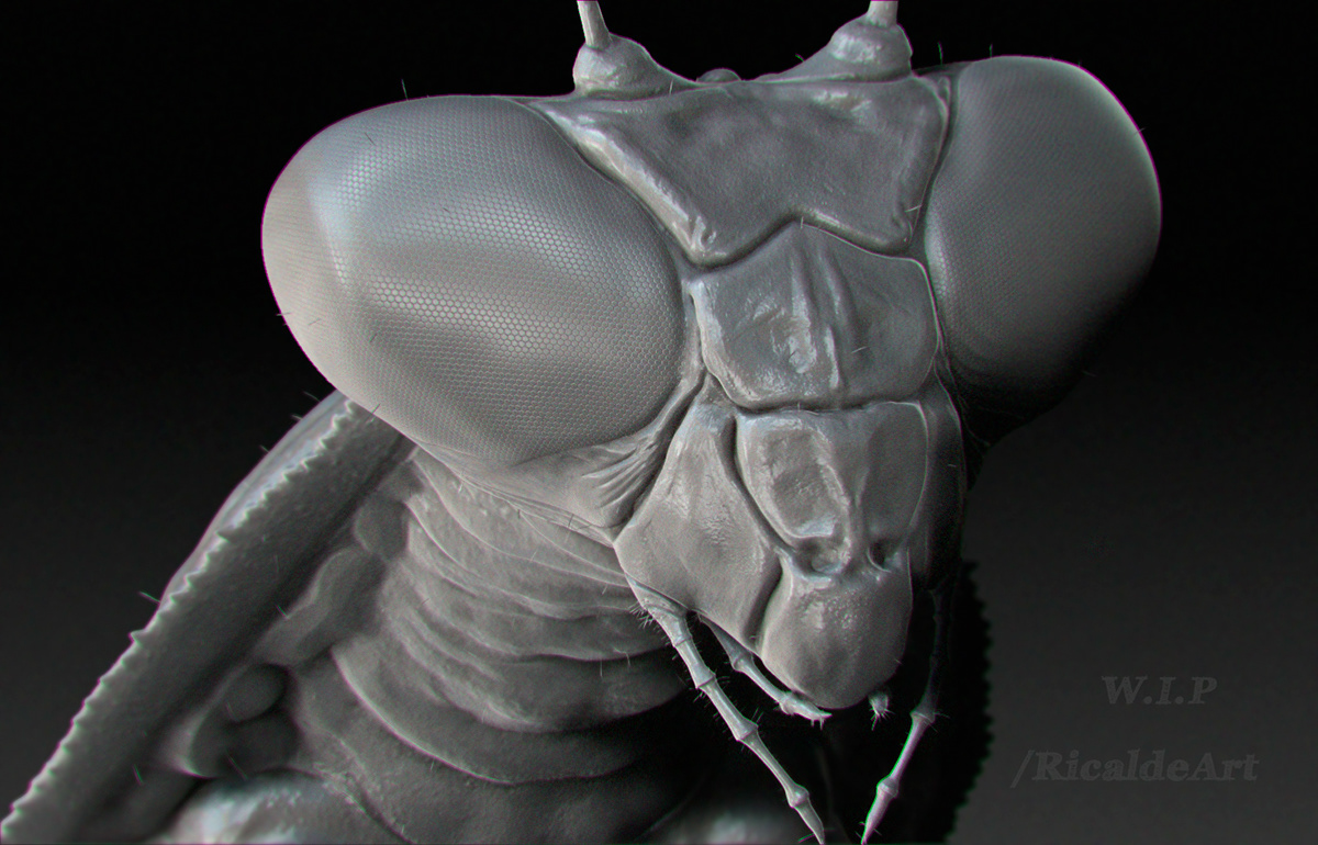 Zbrush mantis macro world life animal insect praying mantis Real Nature 3Dsculpt   CGI 3dmodelling   photoshop