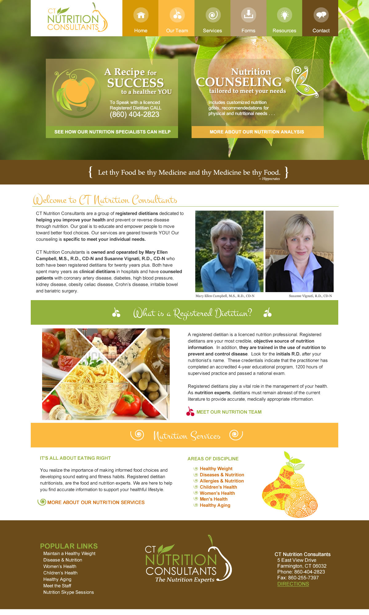 CT Nutrition Consultants Nutrition Analysis nutritionists Responsive Design