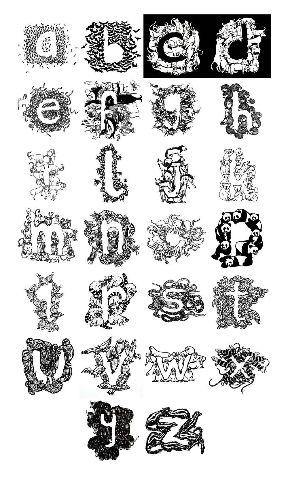 lettering HAND LETTERING handdrawn handmade letters alphabet animal animals creatures illustrated ABC fish bat Cat dog