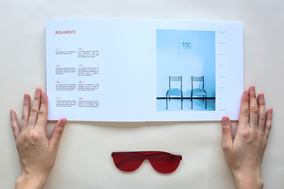 design graphic design  brand branding  system identity editorial brochure editorial design 