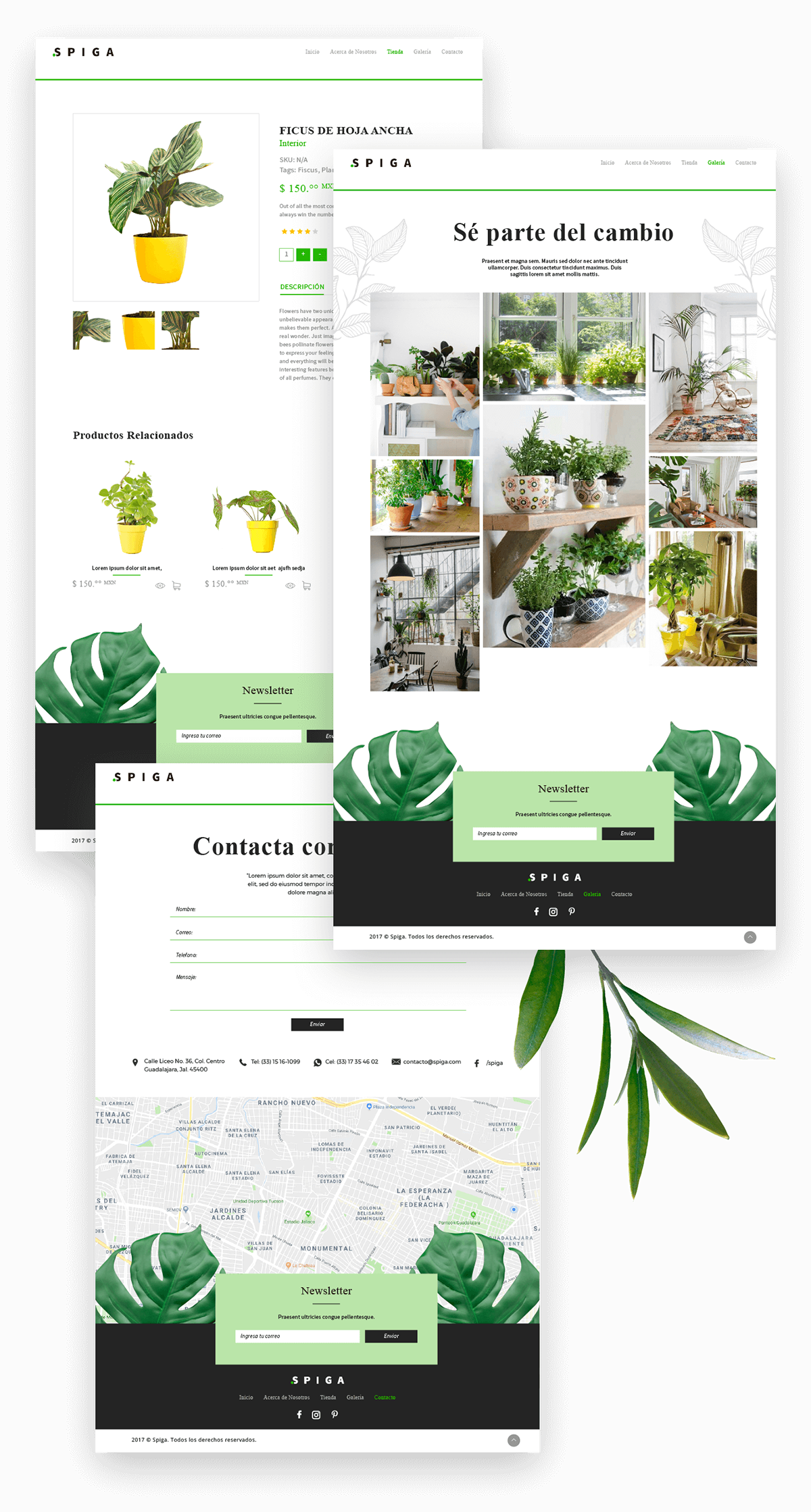 Ecommerce diseño pagina Web Webdesign developer Tiendaenlínea programación plants plantas