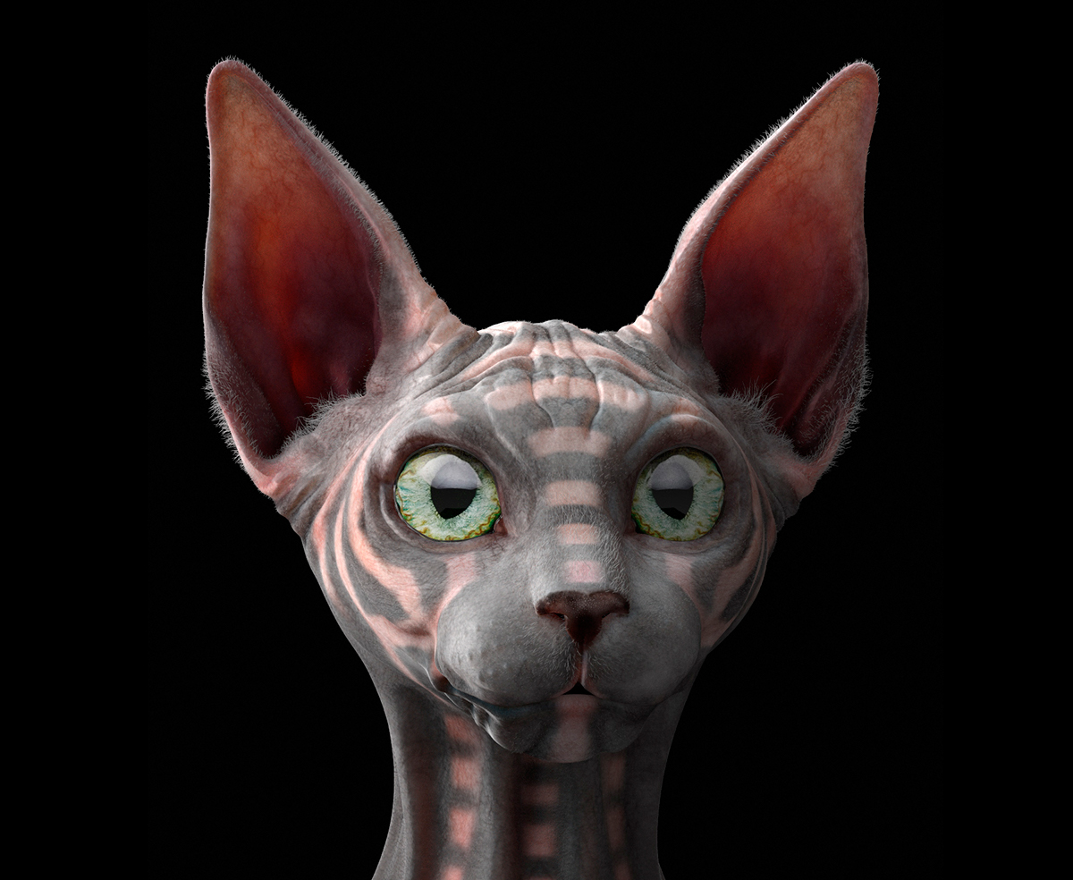 CG Character animal Cat 3D thu cg challenge Hairfarm Fur