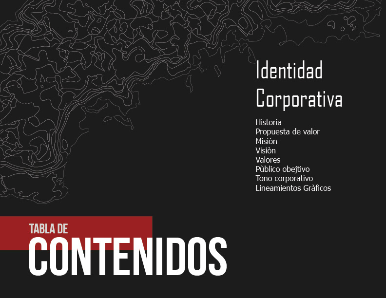 branding  Identidad Corporativa identidade visual Logotype