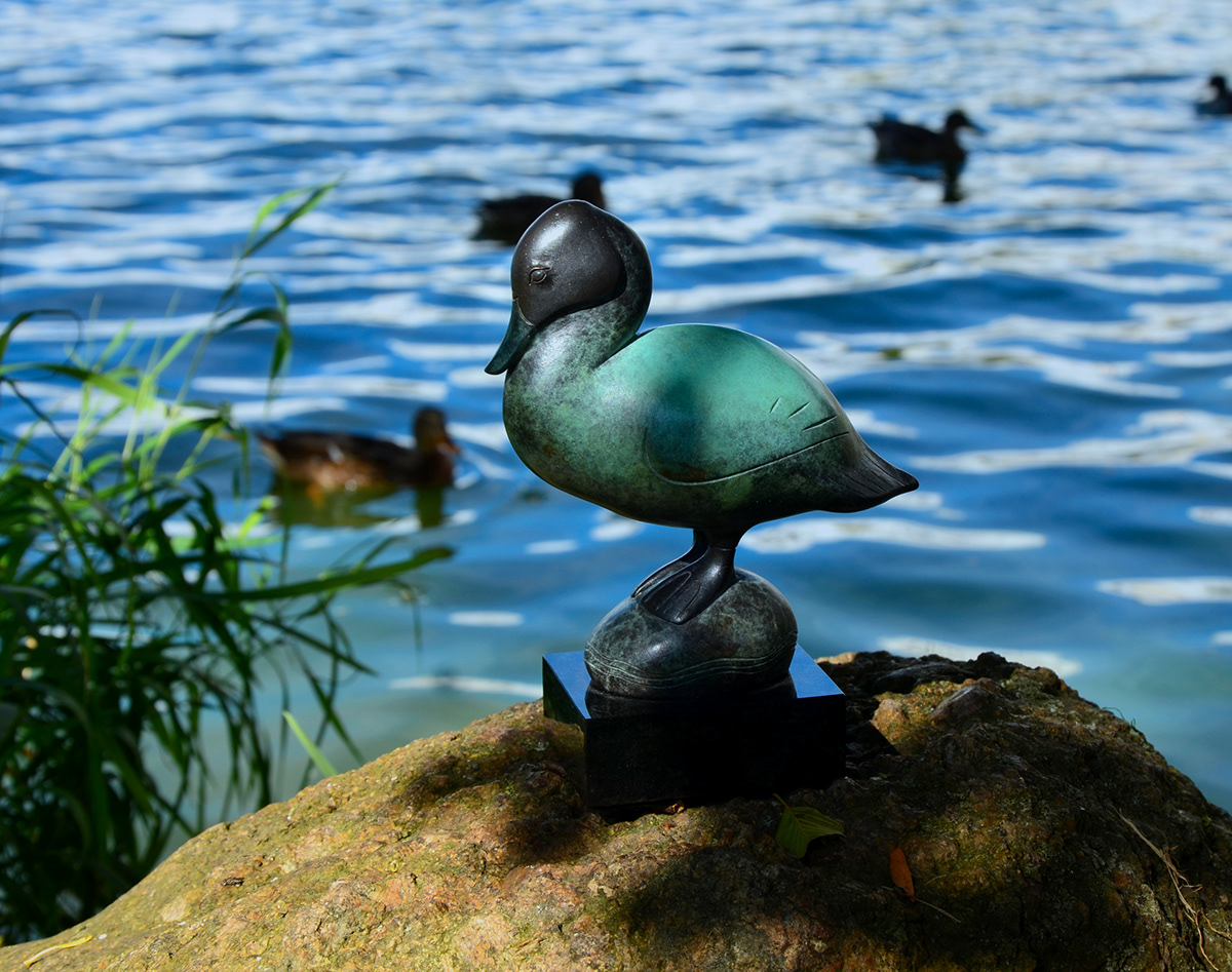 Nature bird universe sculpture bronze duck figuretive art patina animal
