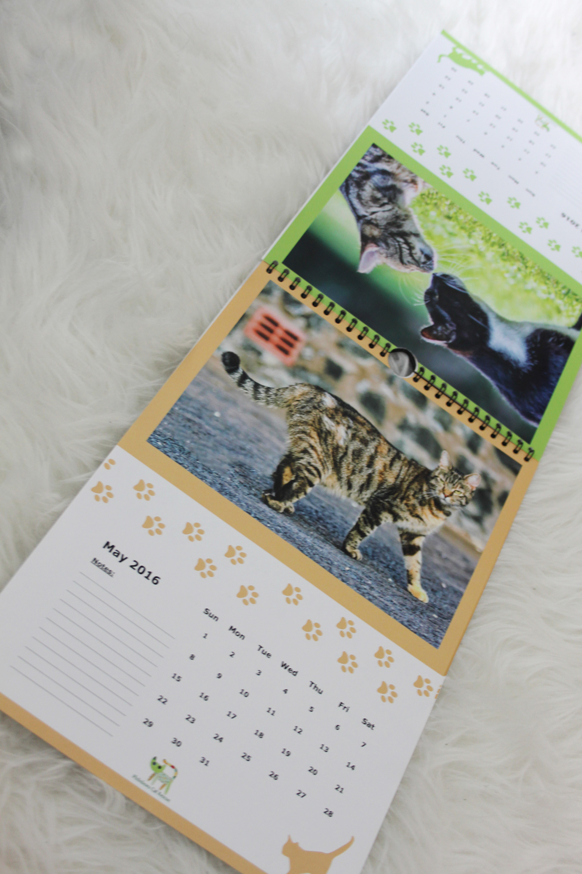 Cat calendar rescue typography   graphic design  print wireband