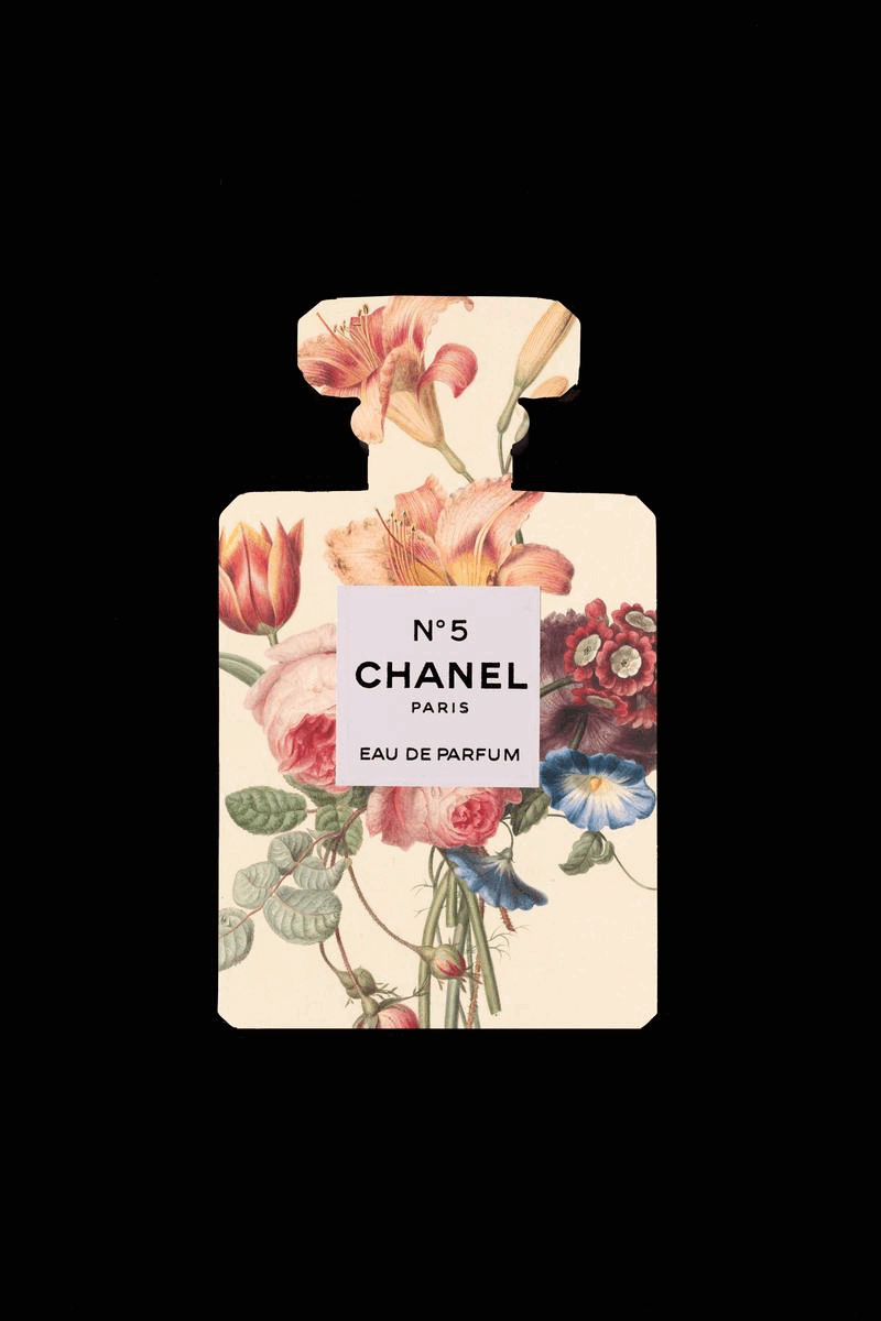 chanel Chanel No 5 Fashion  Fragrance Packaging perfume Product Photography set design  still life