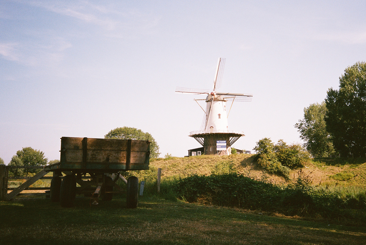 35mm analog Netherlands olympus Photography  summer vacay Zeeland Adobe Portfolio