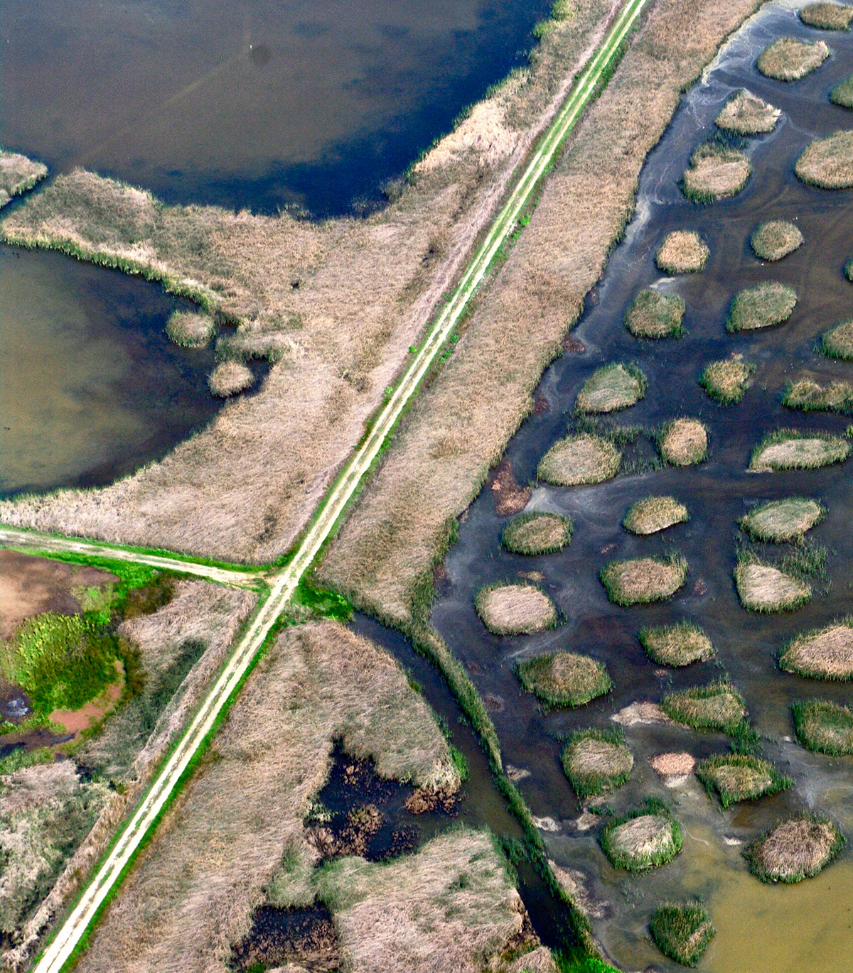 wetlands texture pattern line landscape abstract