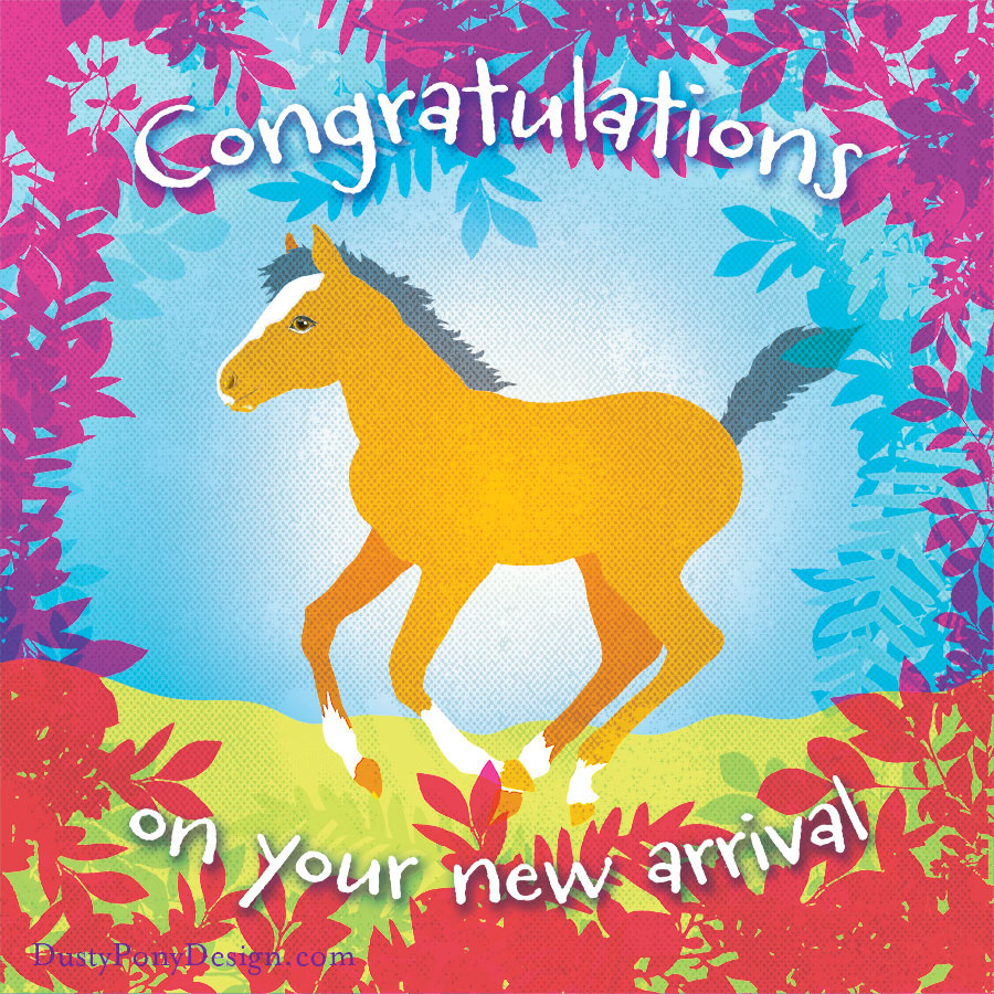 horse pony greeting cards equine
