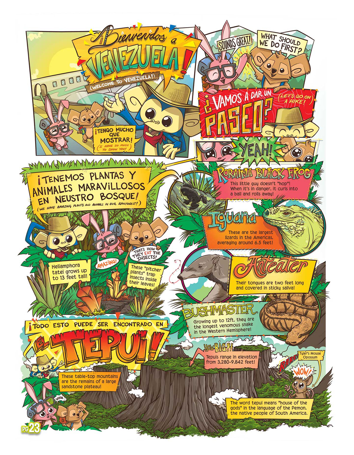 comic venezuela Nature animals waterfall information graphic kids