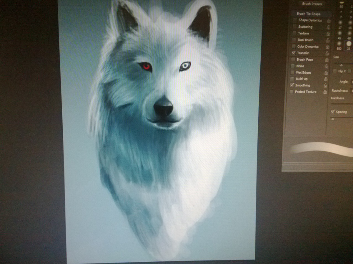 White  wolf digital painting animal