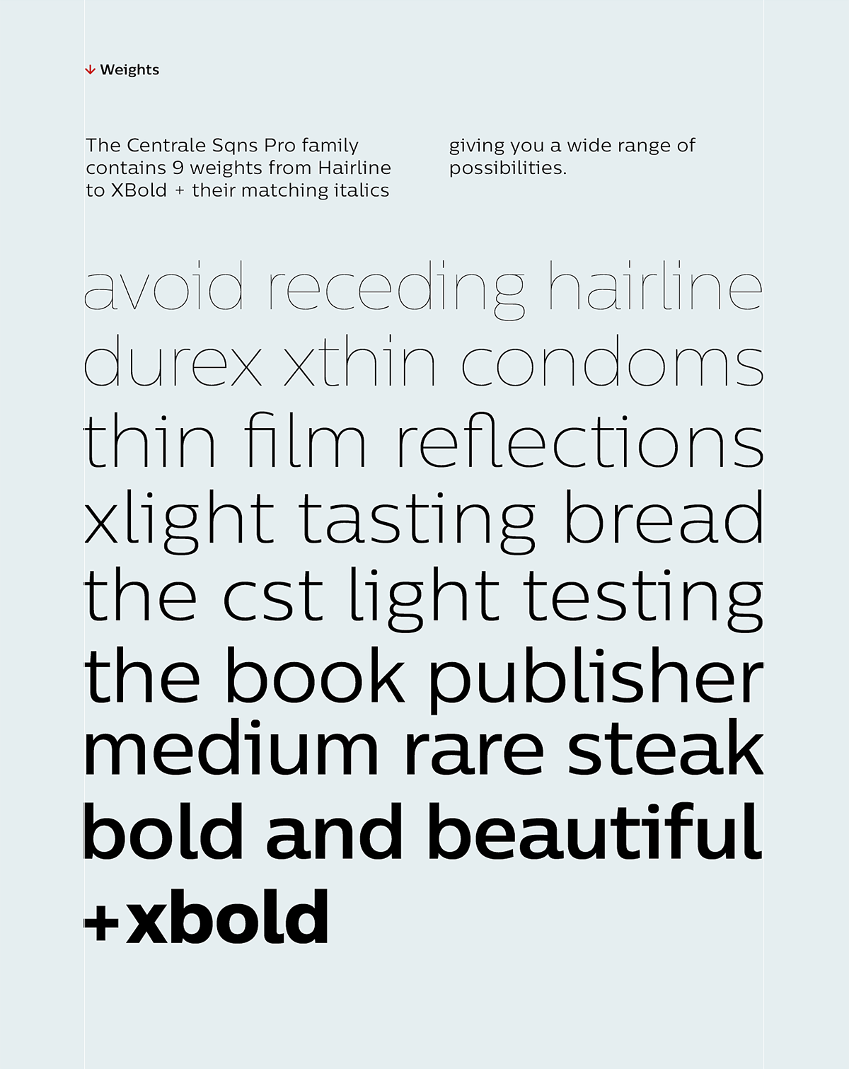 font Typeface typography   type-design