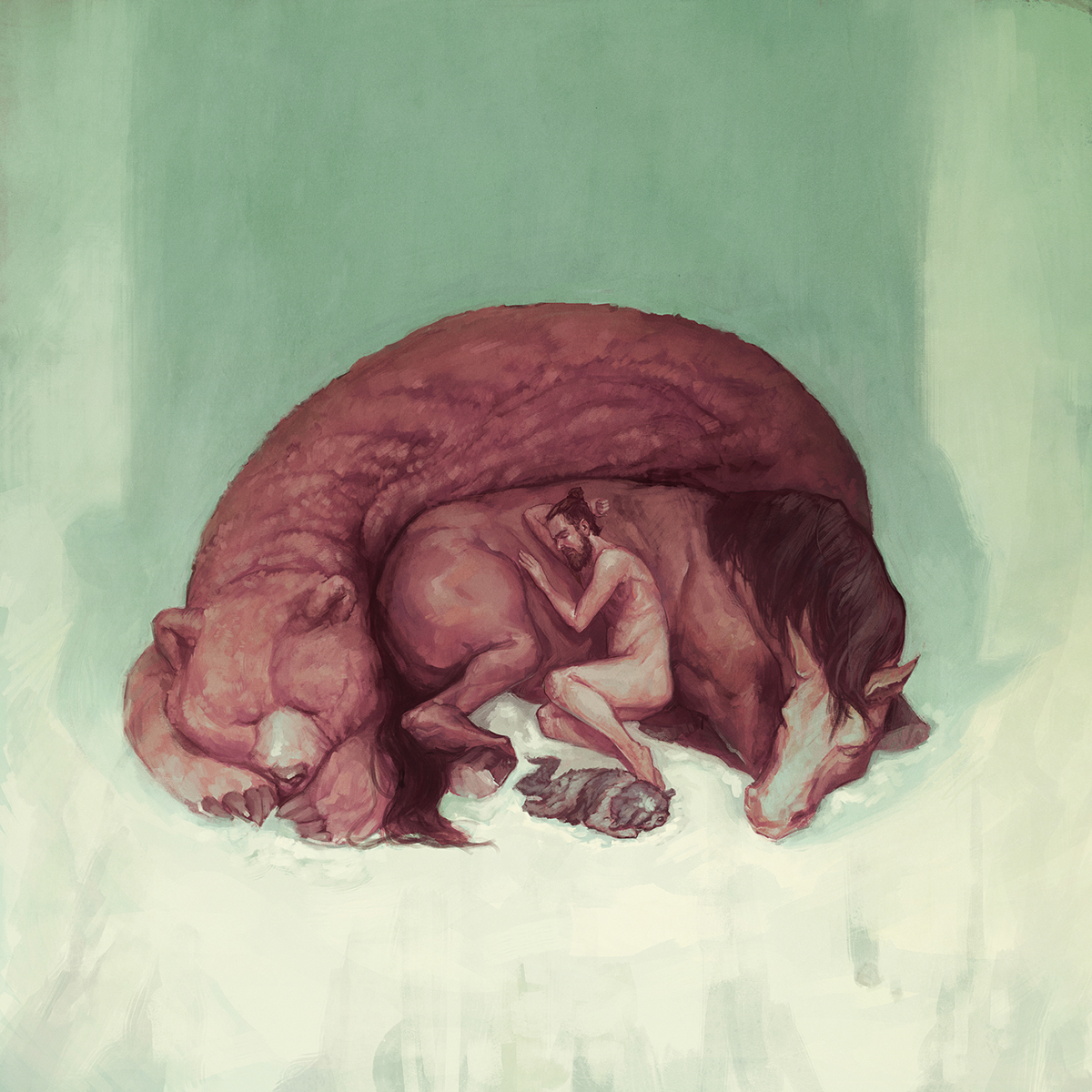 Adobe Portfolio Album puppy cover dog bear winter horse viking indie snow sleep vinyl record cd digital