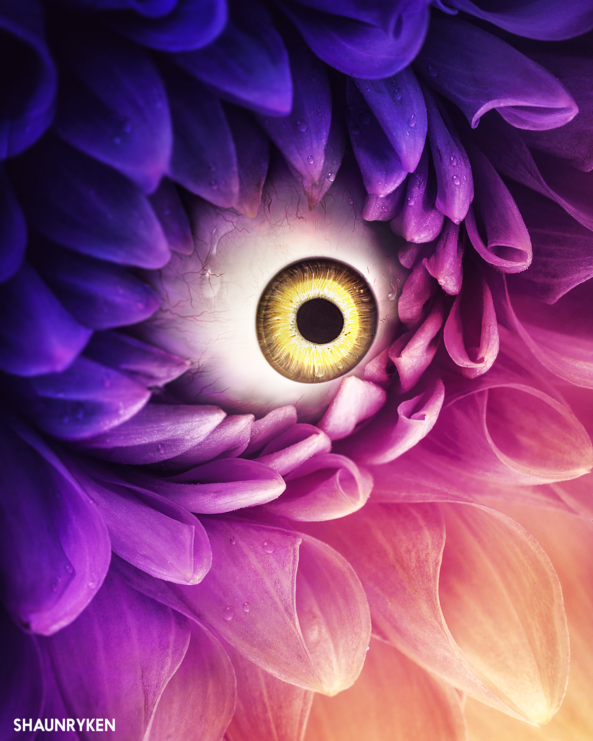 photoshop Shaun Ryken Behance Live Nature flower eyeball creepy manipulation Composite Editing 