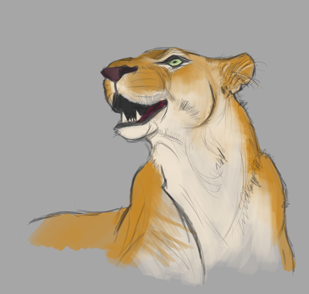 leopard wild sketch digital painting