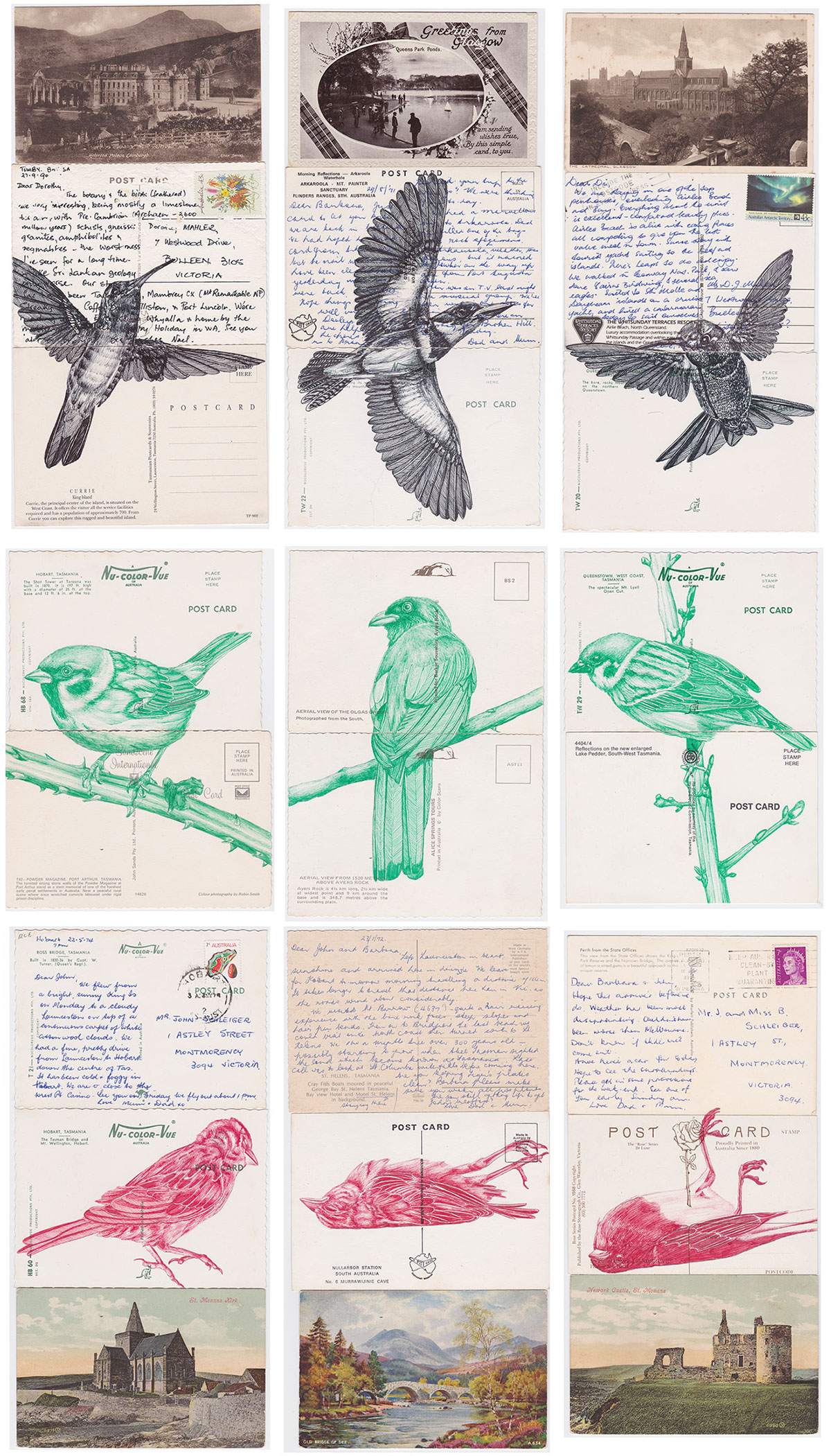 bic biro ballpoint pen art mark powell vintage birds