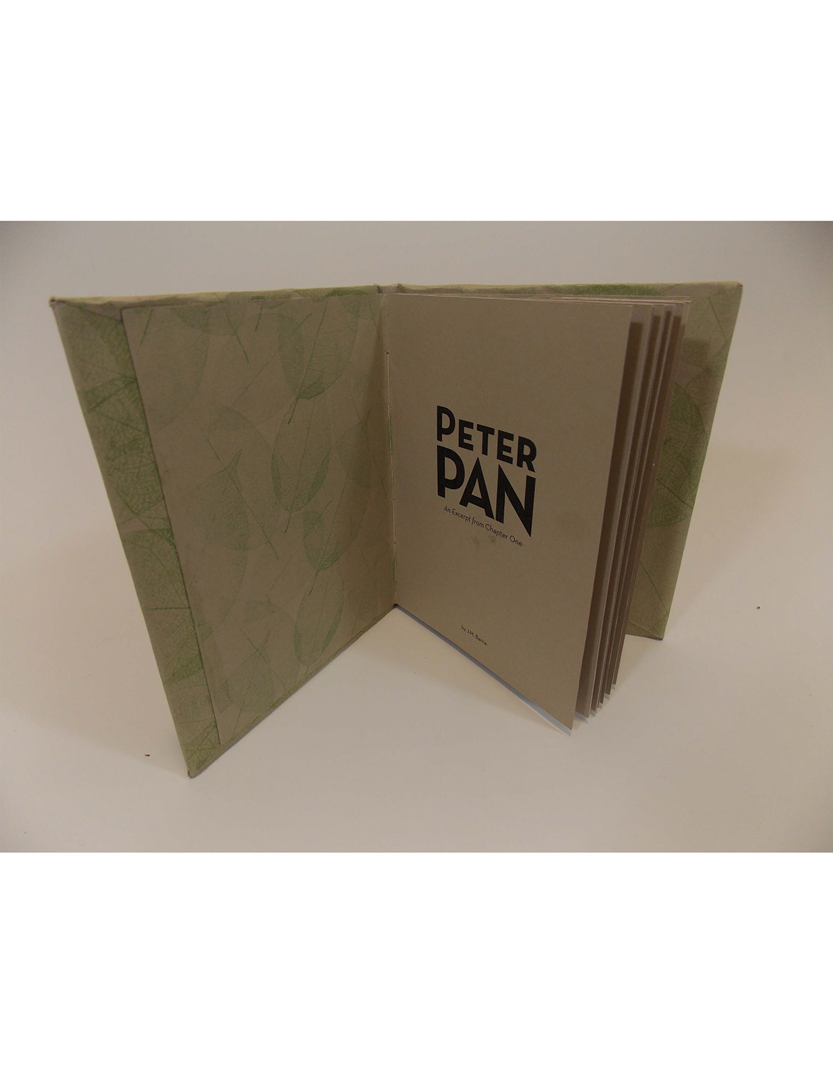 peter pan book making hard-cover