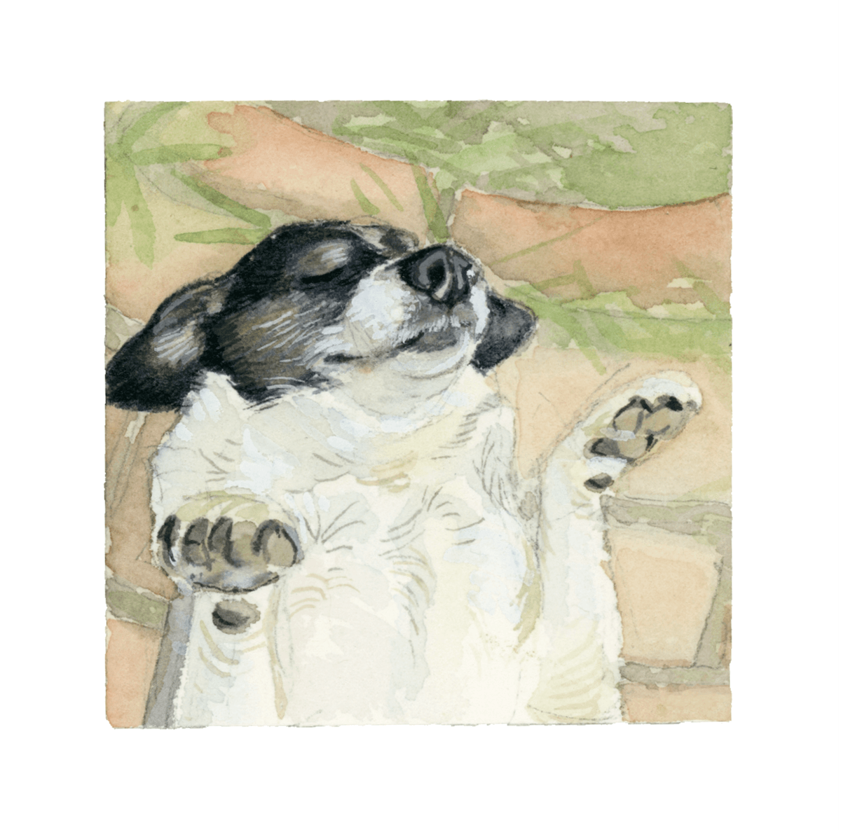 painting   sketch Drawing  Pet petportrait dog puppy watercolor