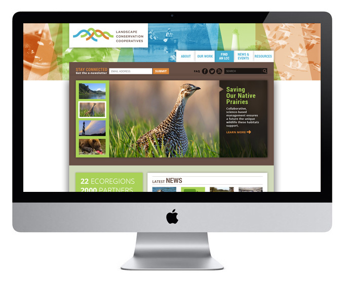 nonprofit  branding landscapes  climate change  logo design  web design Portland  Style Guide conservation