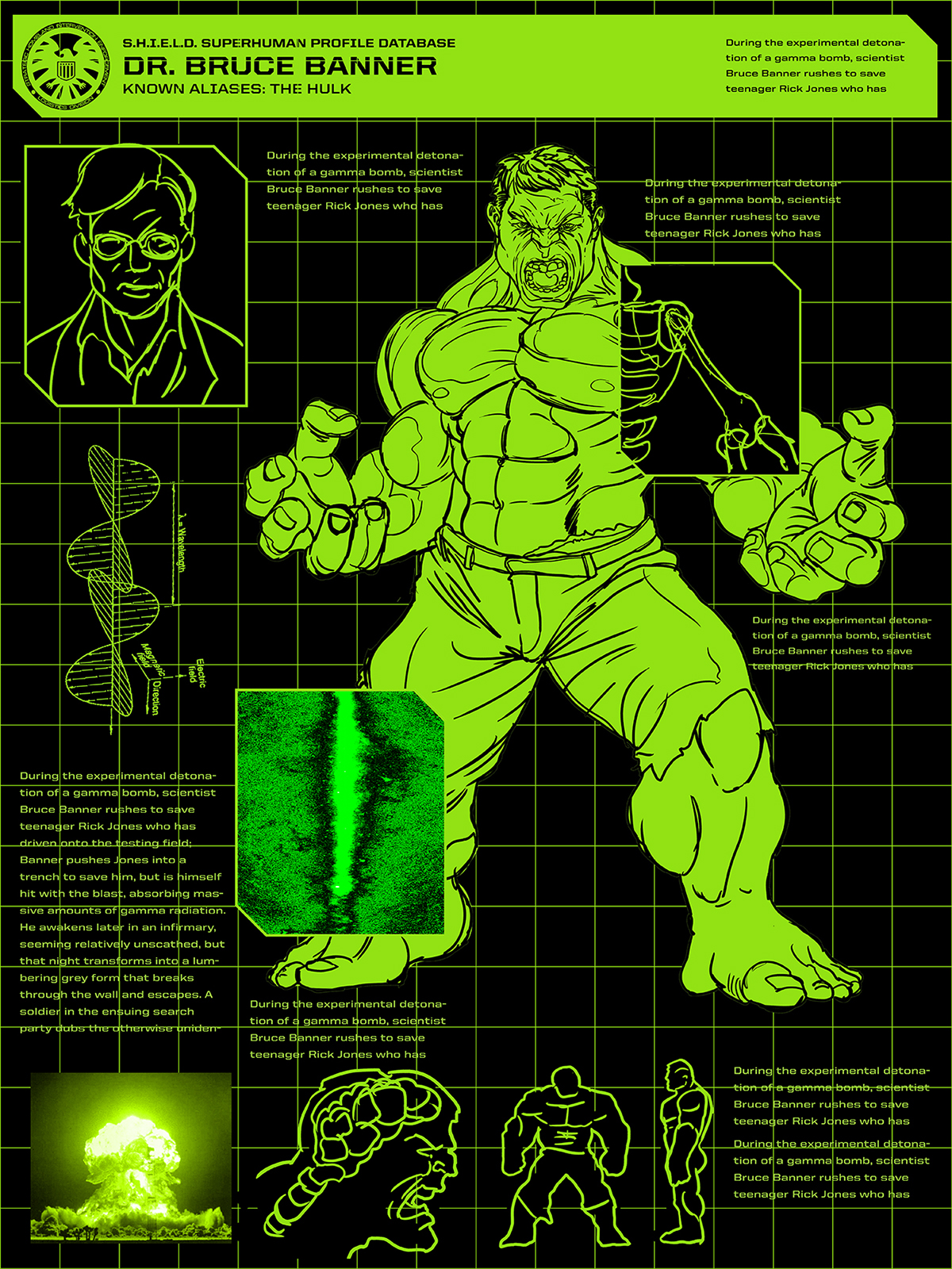 Hulk comics screen print poster diagram incredible hulk hulk comic marvel comics licensed