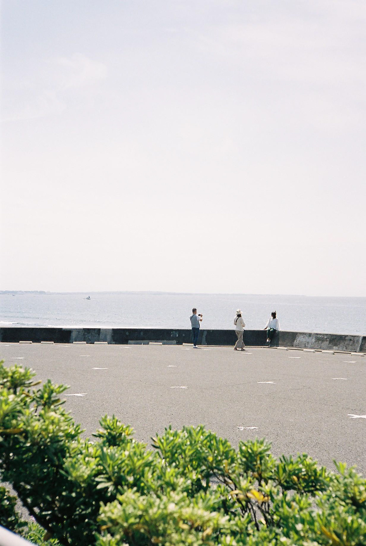 color Film   japan kodak Nikon Photography  sea shonan Travel walk