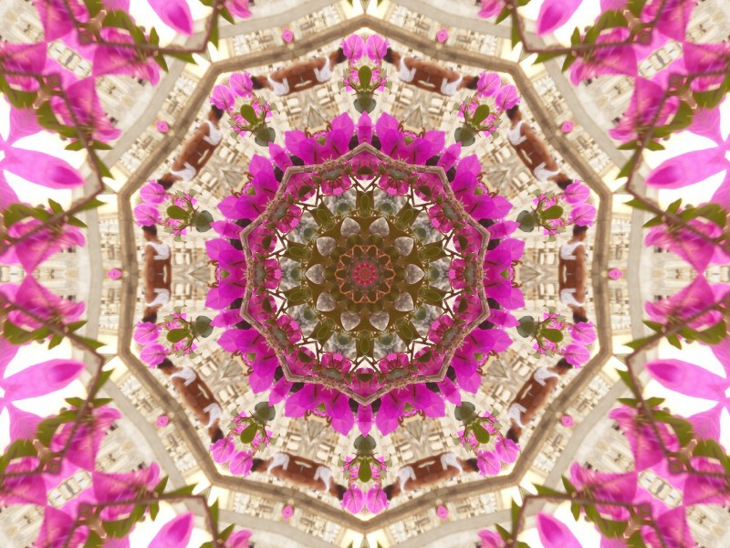 Mandala digital fractal psy rainbow mirror