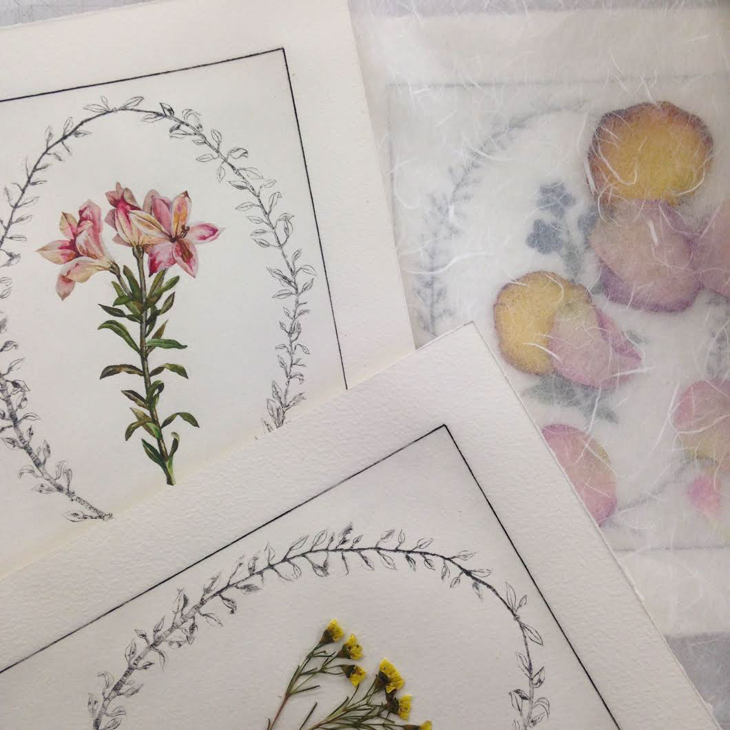 paint watercolor gold leaf Flowers DryPoint printmaking pressed flowers