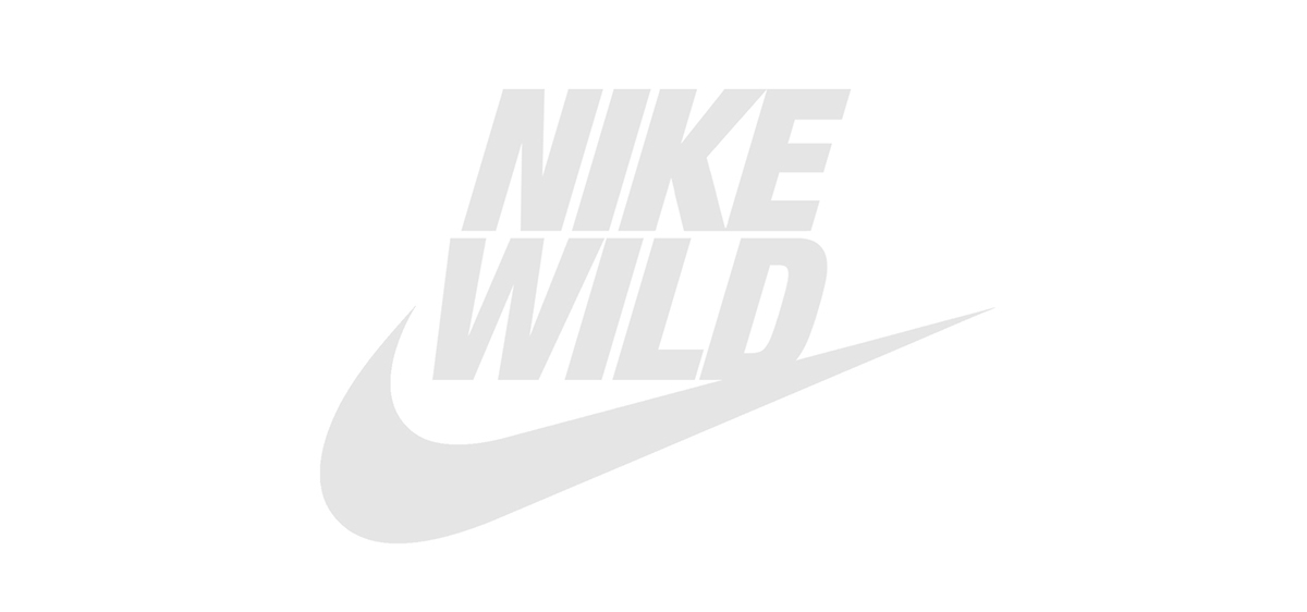 Nike wild tom manning design  advertising  cheetah dragonfly Sailfish peregrine falcon Leatherback Turtle energy power sports montage