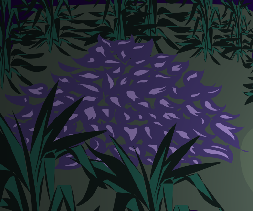 vector Landscape grass ILLUSTRATION  bush pond night Illustrator photoshop adobe