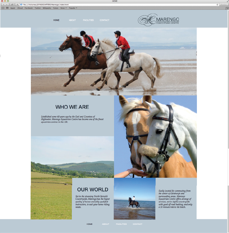 Website Design Riding Centre