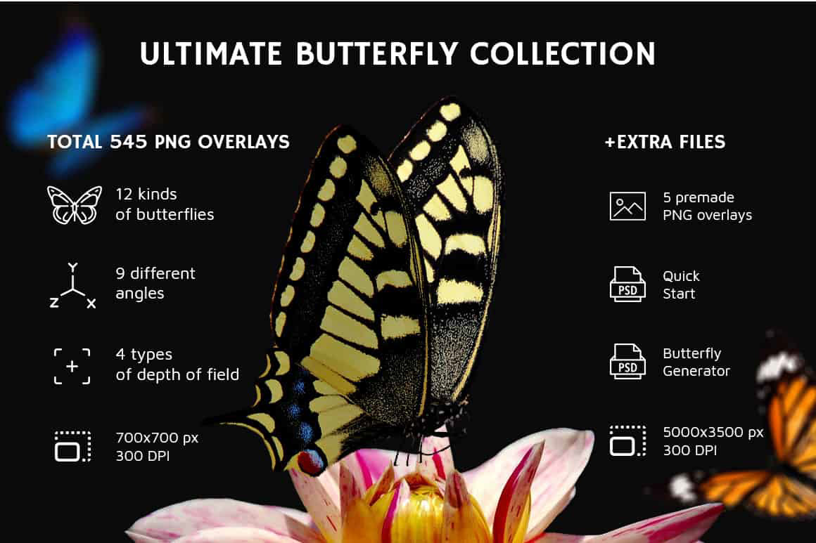 butterflies overlays butterfly clipart Butterfly Clipart Png butterfly png Butterfly Psd