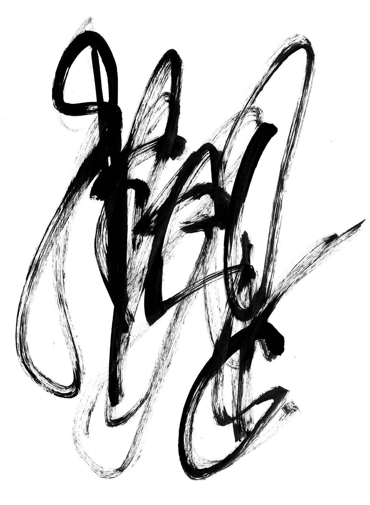 Calligraphy   handwritten typography   design ILLUSTRATION  Paradox