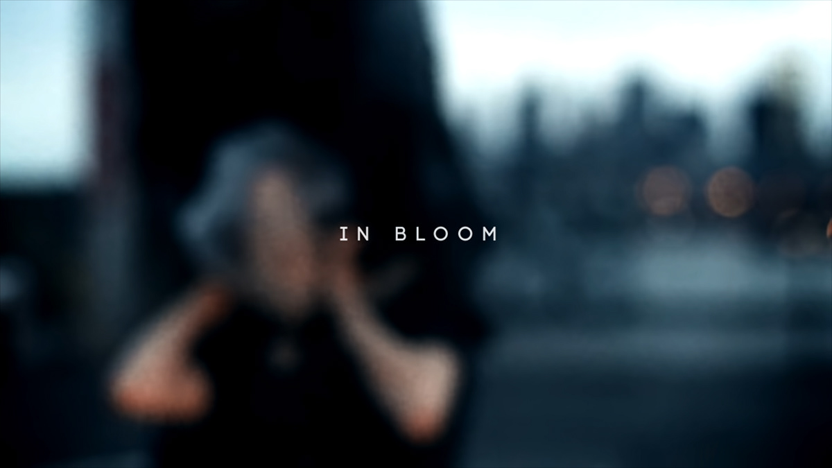 music video dpat in bloom new york city giza