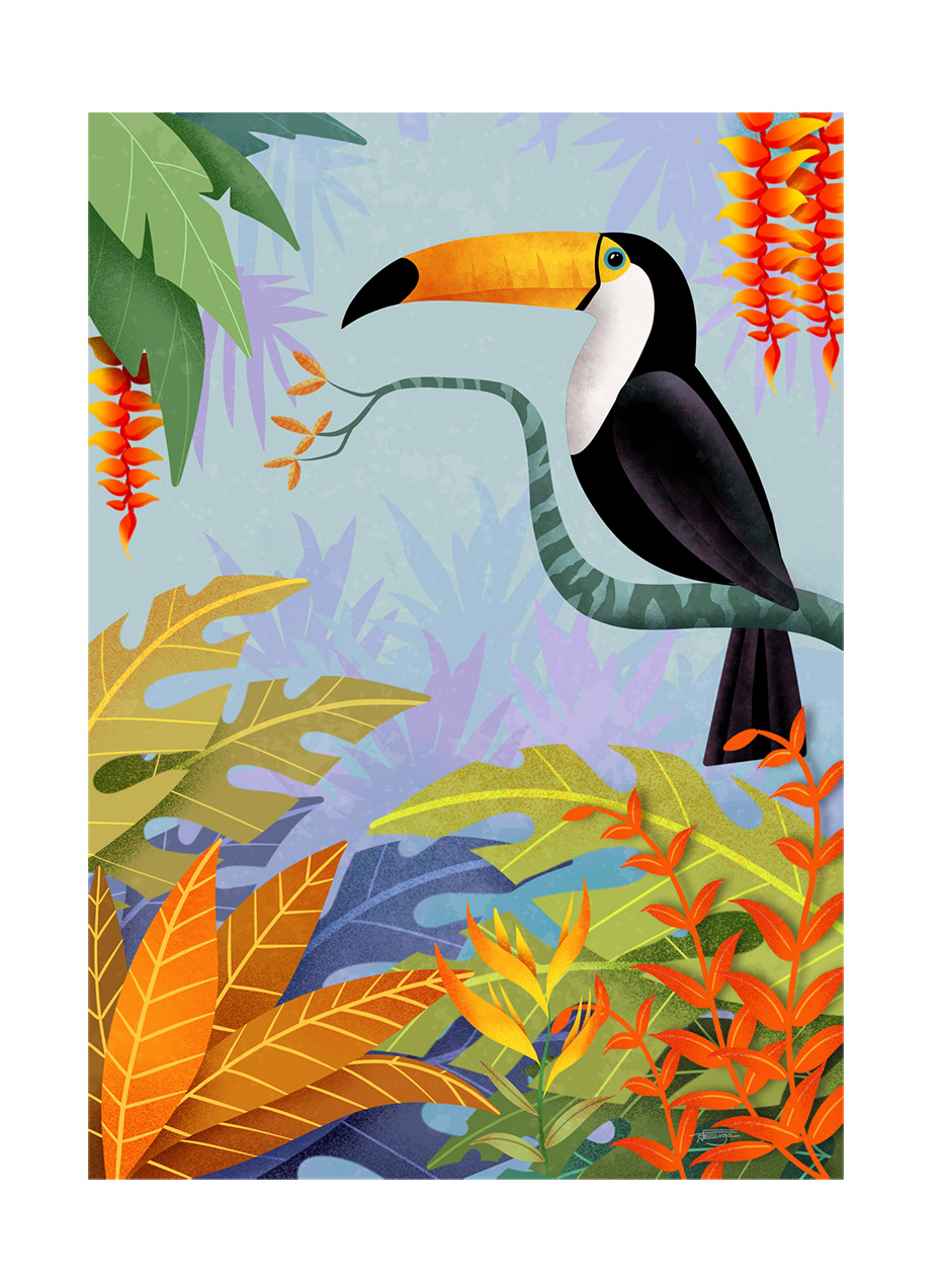 bird forest Nature toucan Tropical tropical forest