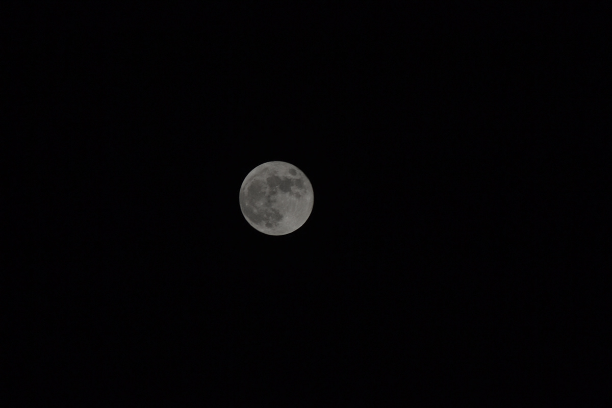 moon supermoon Photography  Editing  photoshop blue moonlight