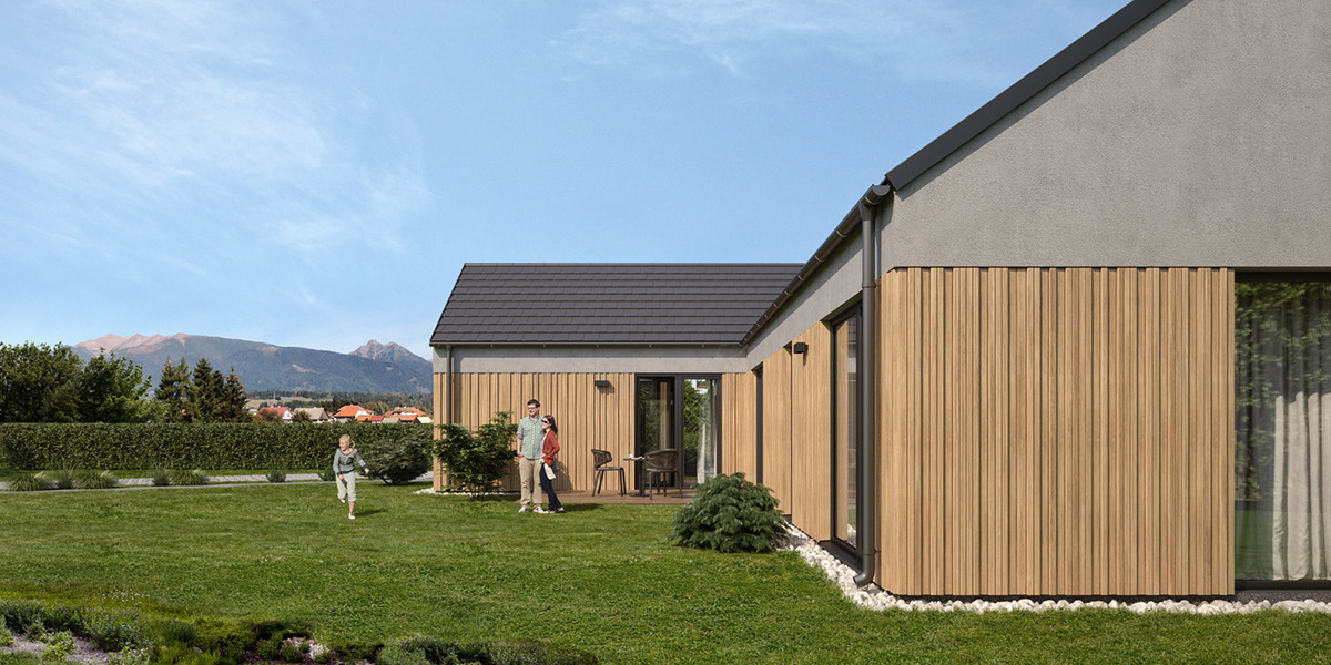 rendering visualization 3D exterior Interior garden mountains housing house