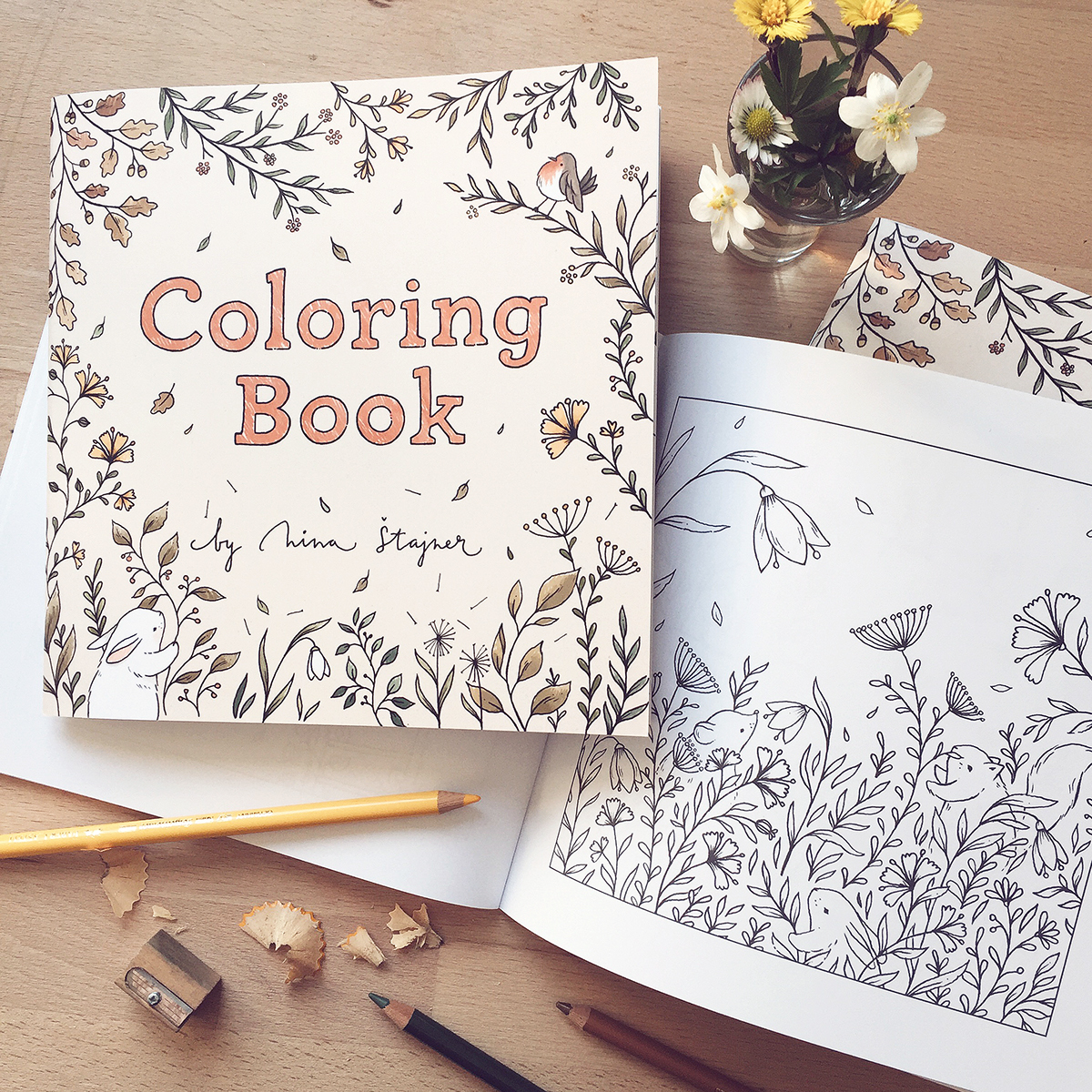 animals COLOURING coloring book coloringbook inktober ink rabbit squirrel FOX deer mouse Flowers cute