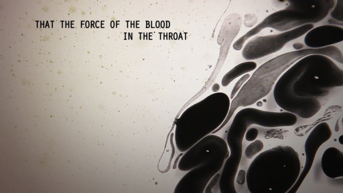 visual poem herberto hélder ferrofluid