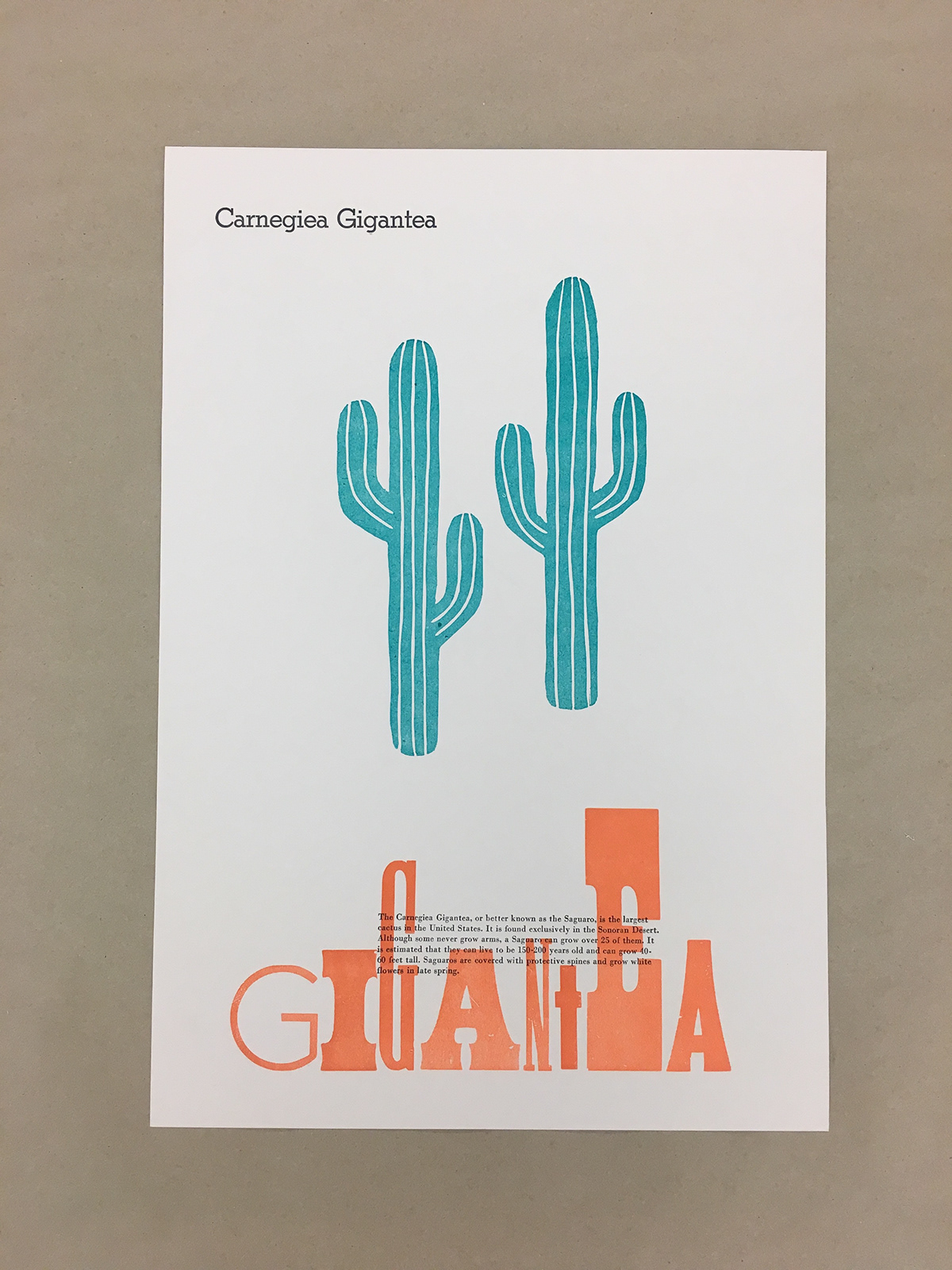 linoleum letterpress cactus cacti typography  