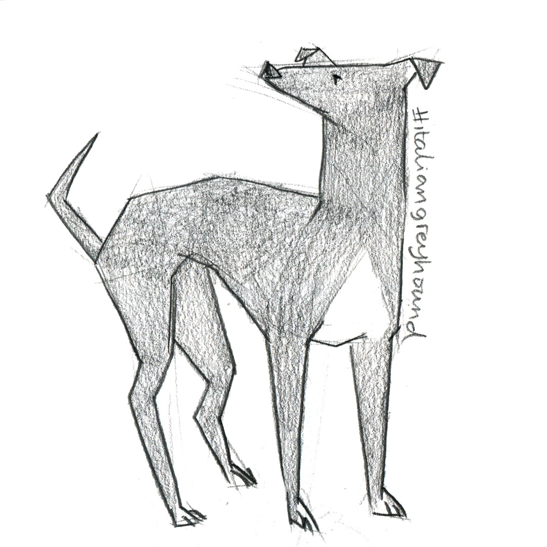 ILLUSTRATION  Drawing  Character design  artwork sketch artist cartoon concept art animal dog