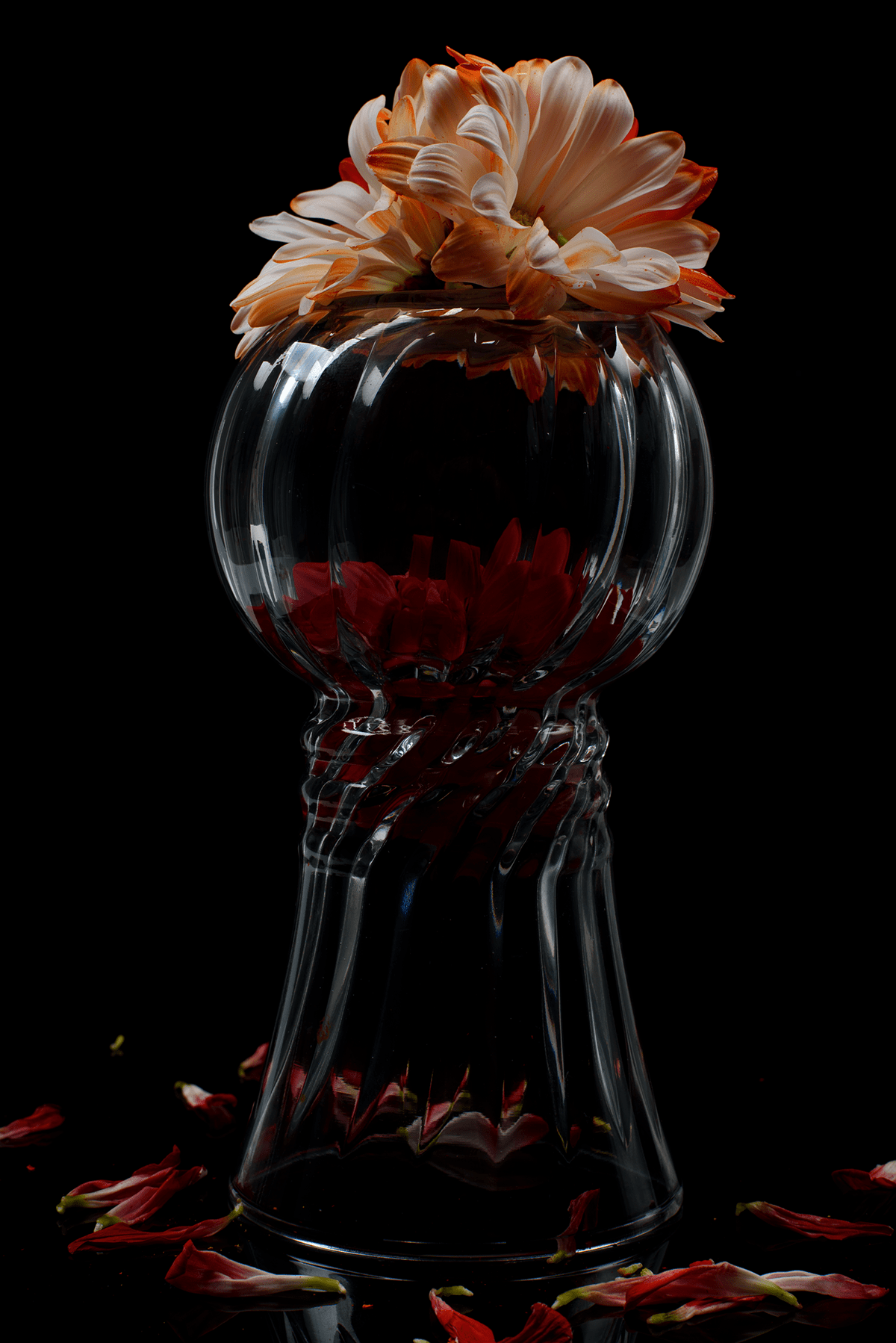 Blackline digital photography  florals glass Photography  Product Photography strobes studio light whiteline wine glasses