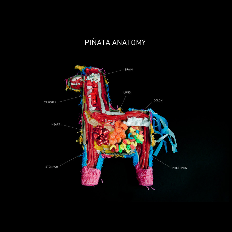 Piñata anatomy carmichael collective