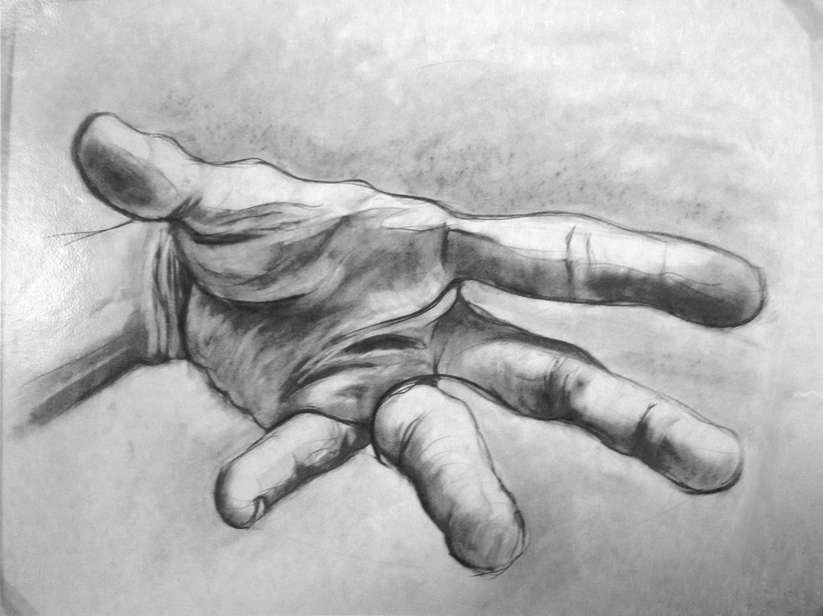 charcoal anatomy TRADITIONAL ART hand ILLUSTRATION  fine art sketch