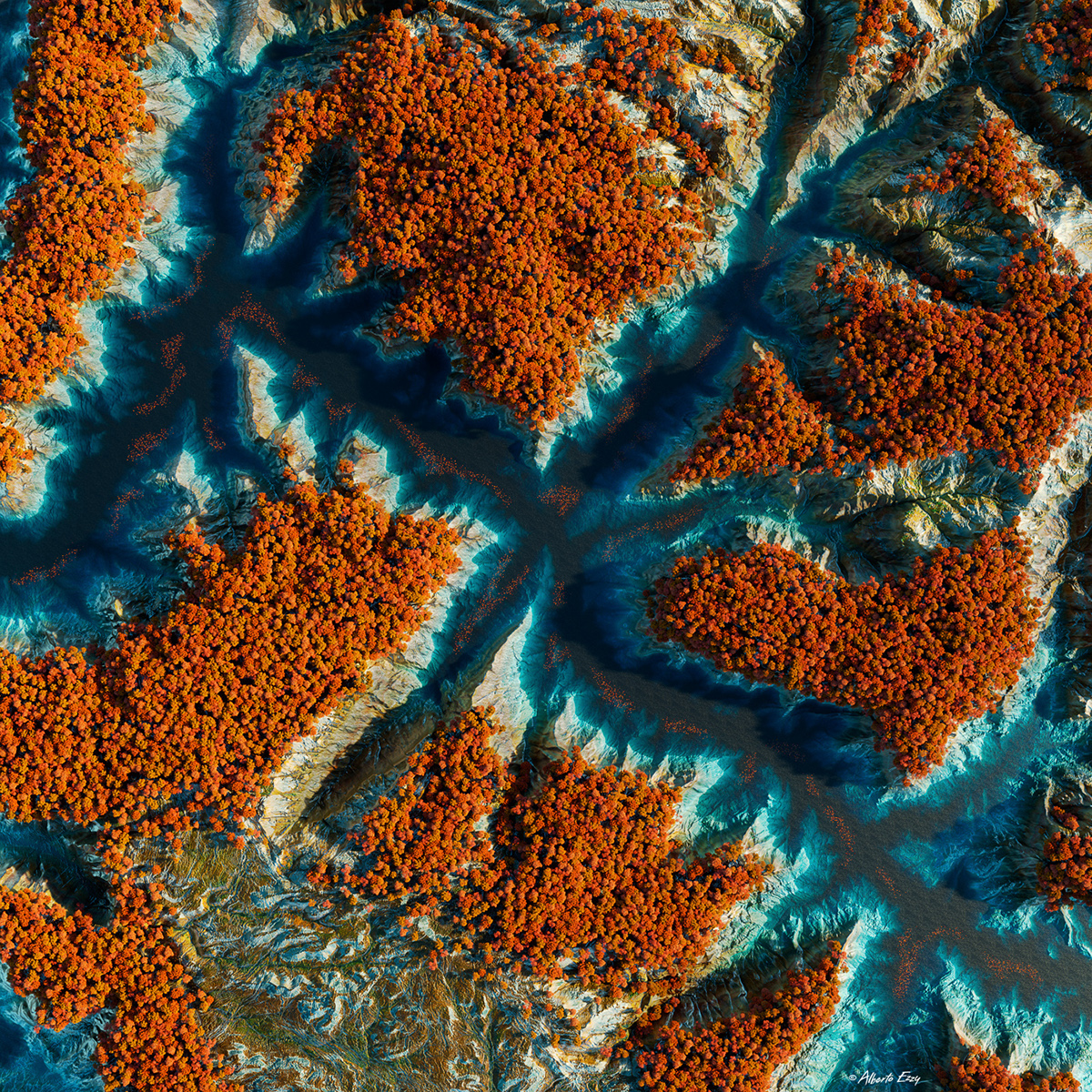 Adobe Portfolio 3D CGI terrain Elevation textures Color Maps