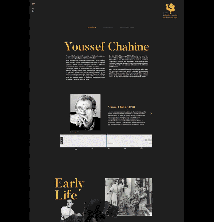Cinema Youssef Chahine webdesign egypt UI/UX user interface user experience Zawya gouna film festival Cannes film festival films
