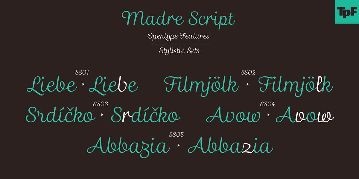 Madre Script typefolio Marconi Lima Script handmade lettering