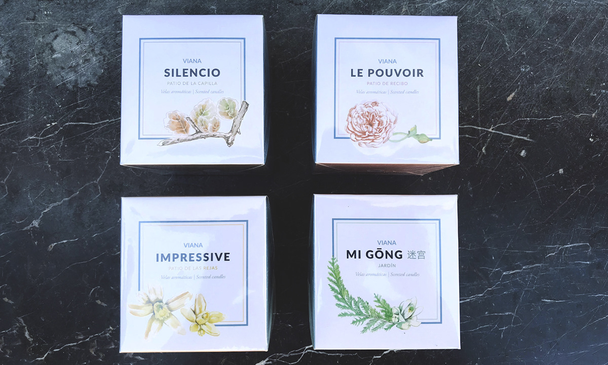 diseño gráfico graphic design  Packaging ilustracion ILLUSTRATION  Perfumes embalaje Flowers flor tags