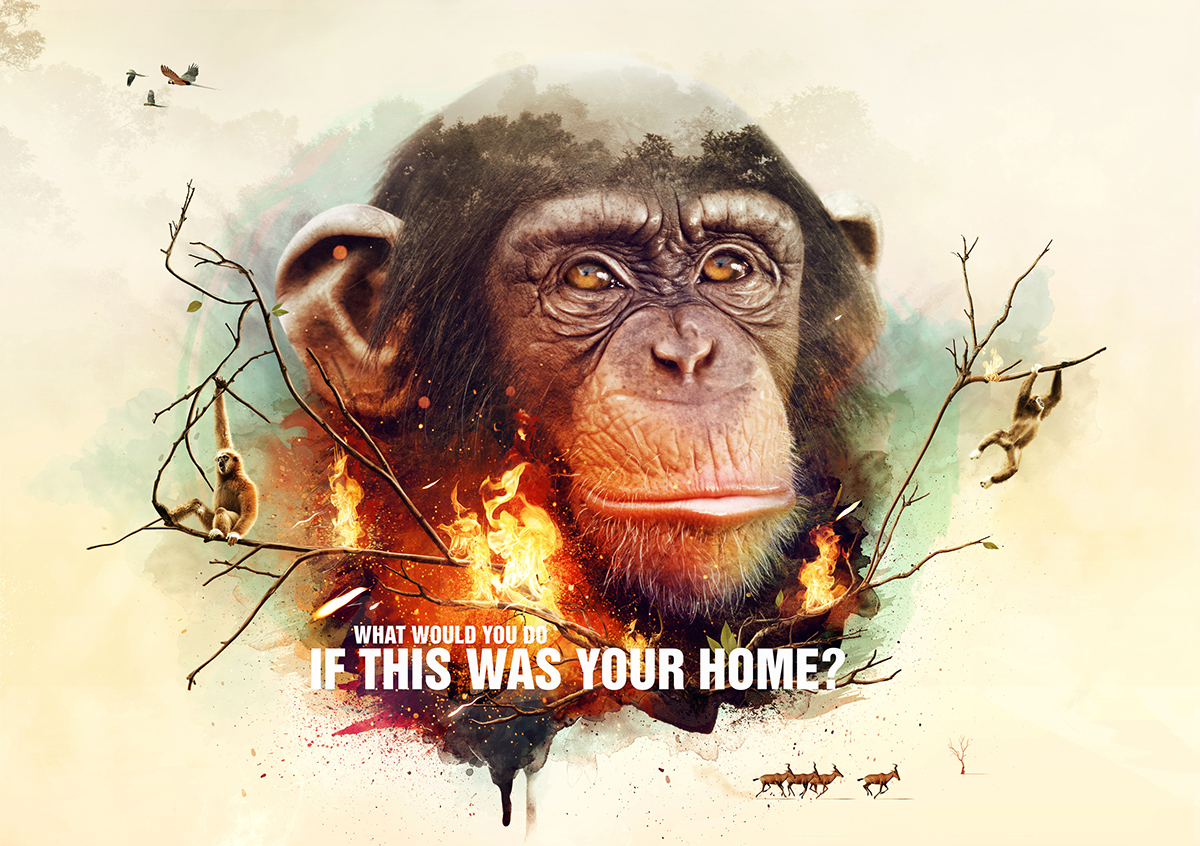 monkey WWF campaign home live help support